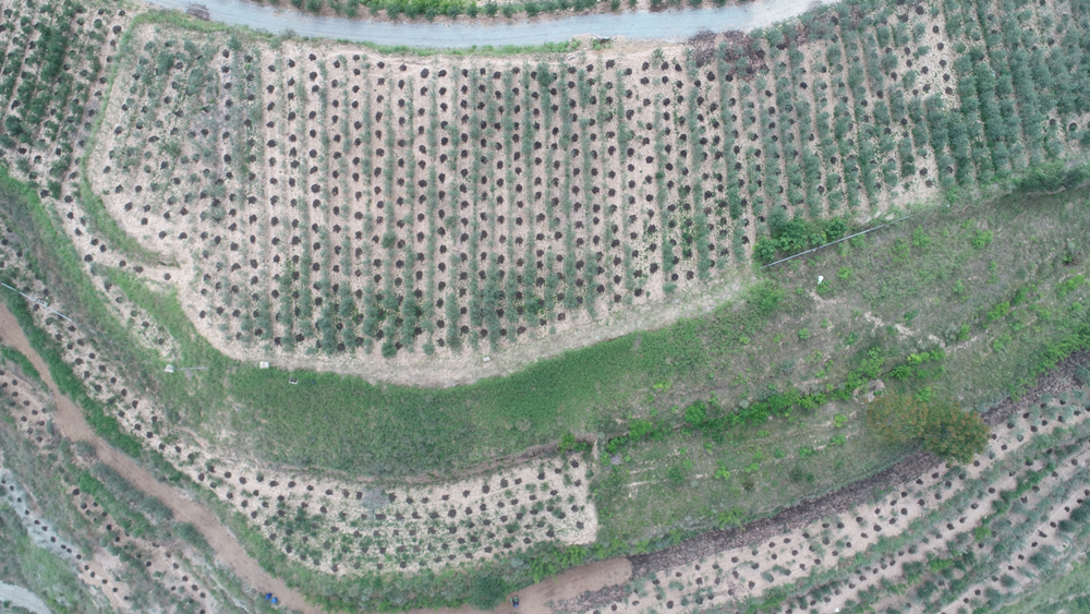 202211101668049036852629.png 11_副本.png