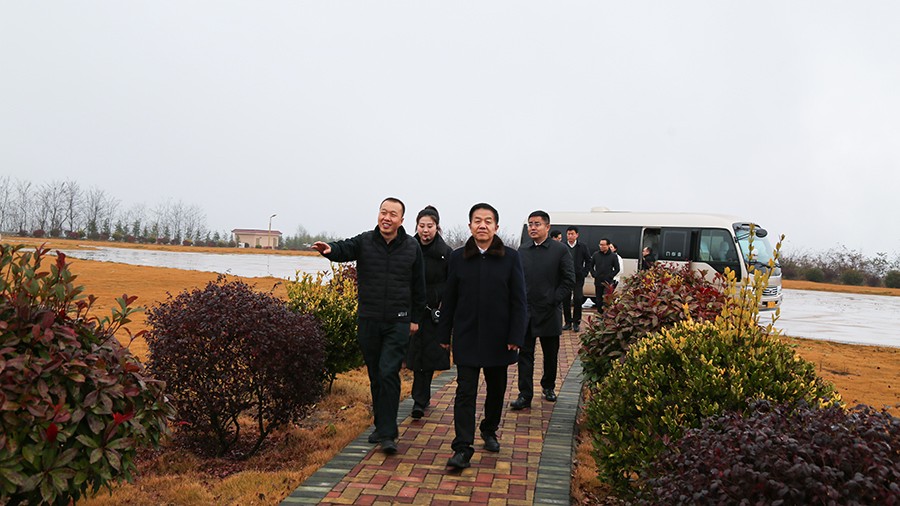 45-2020年12月，省高級(jí)人民法院黨組成員、副院長(zhǎng)任建國(guó)蒞臨金徽股份調(diào)研知識(shí)產(chǎn)權(quán)司法保護(hù)工作。.jpg