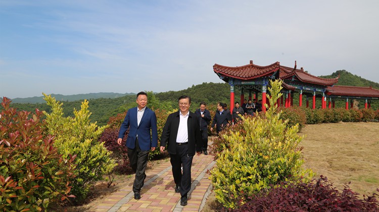 省人民檢察院黨組書記、檢察長朱玉調(diào)研金徽股份